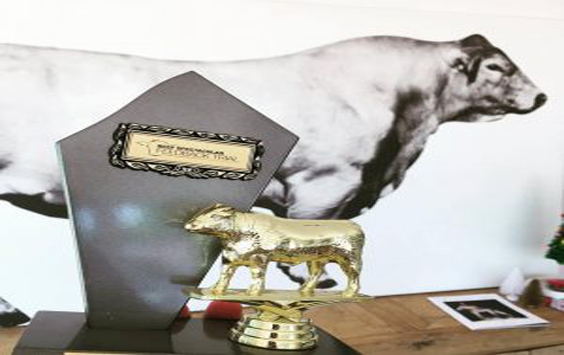 Riverine Classic Beef Champions