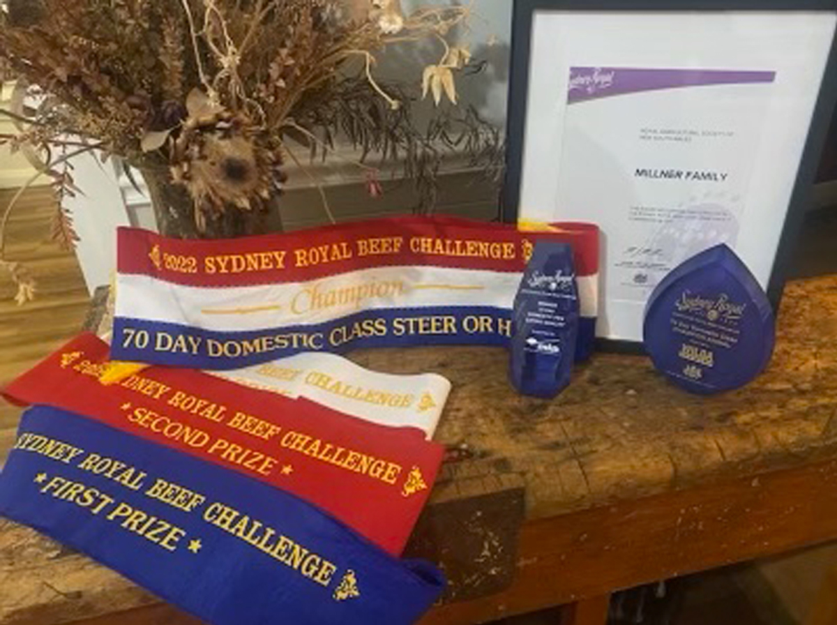 2022 RAS BEEF CHALLENGE – FEEDLOT TRIAL